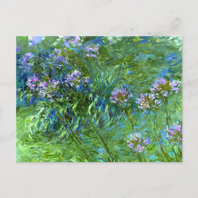 Claude Monet: Agapanthus Postcard (Front)
