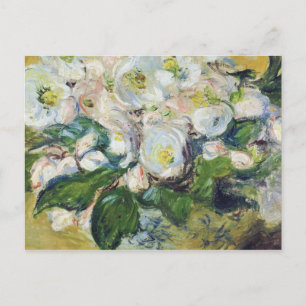 Claude Monet - Christmas Roses Holiday Postcard
