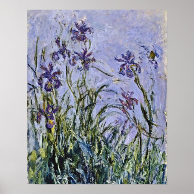 Claude Monet - Iris Mauves Poster (Front)