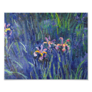 Claude Monet - Irises Photo Print