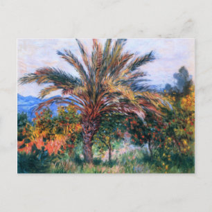 Claude Monet: Palm Tree at Bordighera Postcard