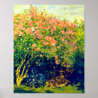 Claude Monet Poster