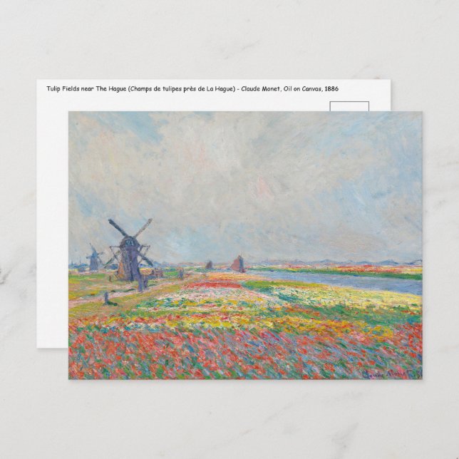 Claude Monet - Tulip Fields near The Hague Postcard (Front/Back)