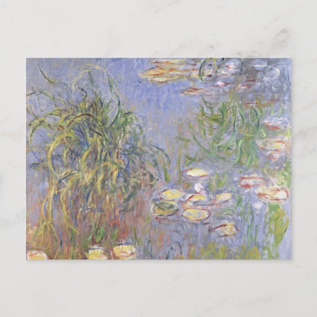 Claude Monet | Water-Lilies, Cluster of Grass Postcard (Front)