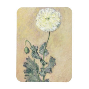 Claude Monet   White Poppy, 1883 Magnet