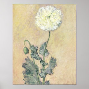 Claude Monet White Poppy, 1883 Poster