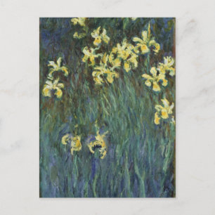 Claude Monet - Yellow Irises Postcard