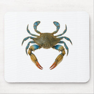 Claws of the Coast Mouse Pad