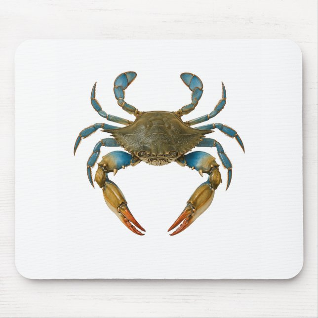Claws of the Coast Mouse Pad (Front)