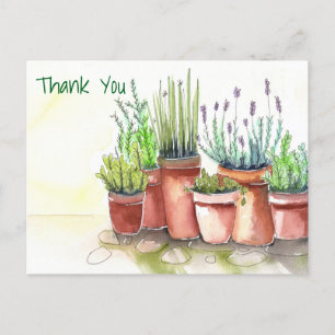 Clay Array Postcard