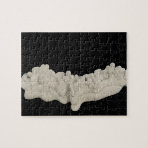 Clay Concretion Jigsaw Puzzle