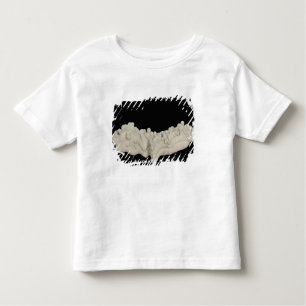 Clay Concretion Toddler T-Shirt