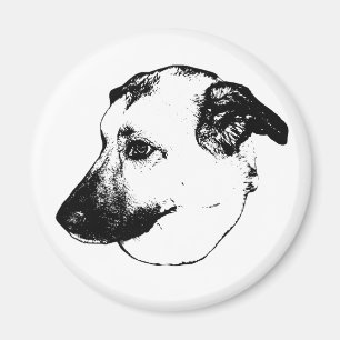 Clean Contrast, Dog Magnet