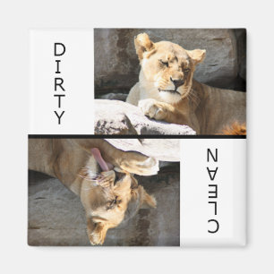 Clean Dirty Lioness Magnet