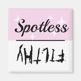 Clean Dirty Spotless Filthy Dishwasher Magnet