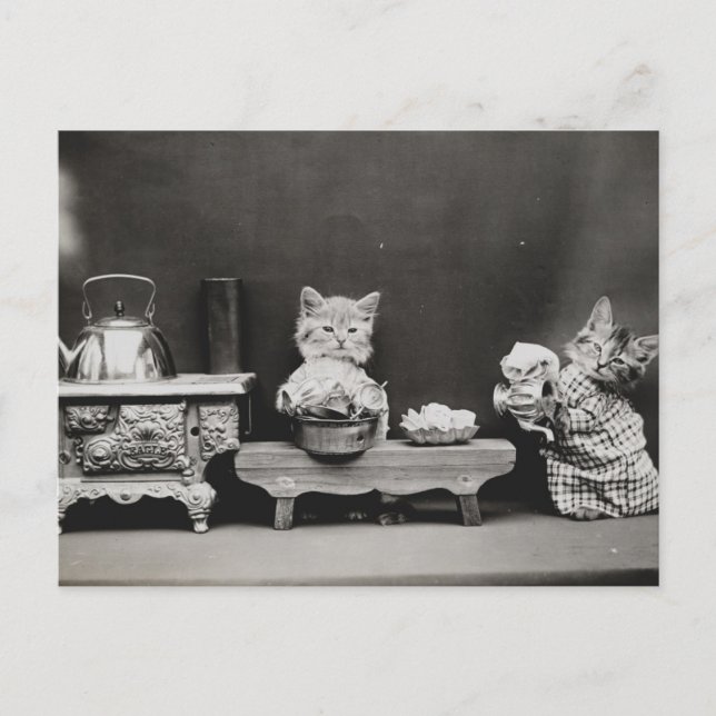 Cleaning the Teapot Postcard (Front)