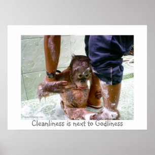 Cleanliness is Next to Godliness Poster