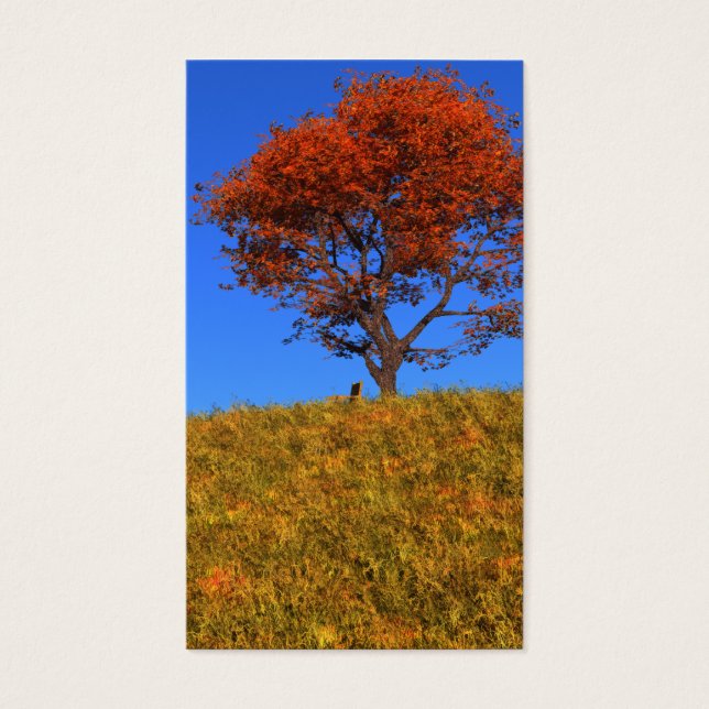 Clear Autumn Day Bookmarks (Front)