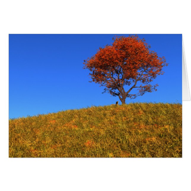 Clear Autumn Day Card (Front Horizontal)