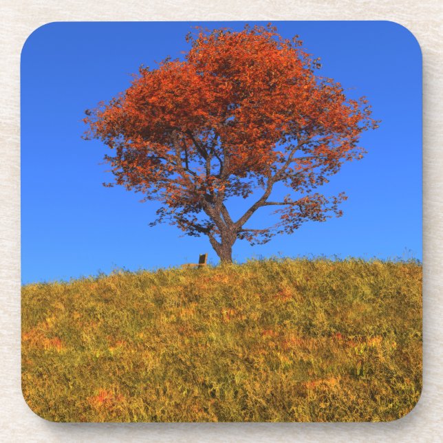 Clear Autumn Day Cork Coaster (Front)