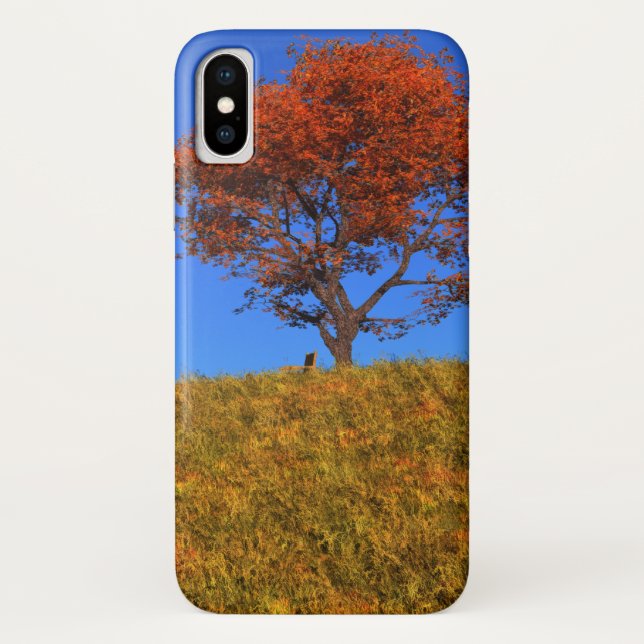 Clear Autumn Day iPhone Case-Mate Case (Back)