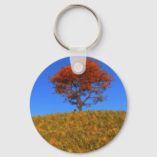 Clear Autumn Day Keychain