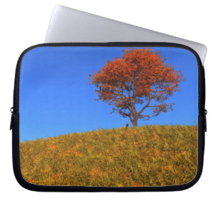 Clear Autumn Day Laptop Sleeve