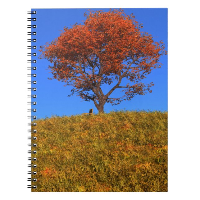 Clear Autumn Day Notebook (Front)
