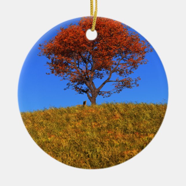 Clear Autumn Day Ornament (Front)