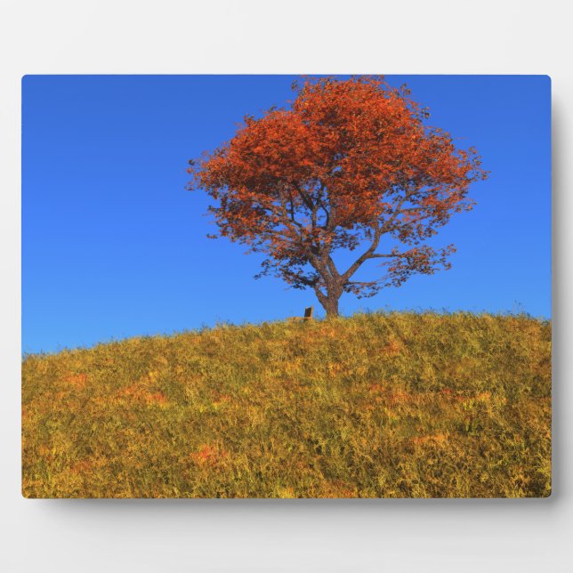 Clear Autumn Day Photo Plaque (Front)