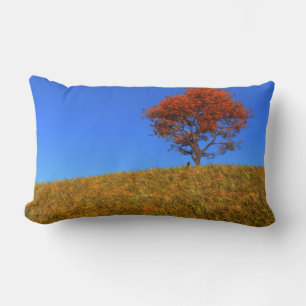 Clear Autumn Day Pillow