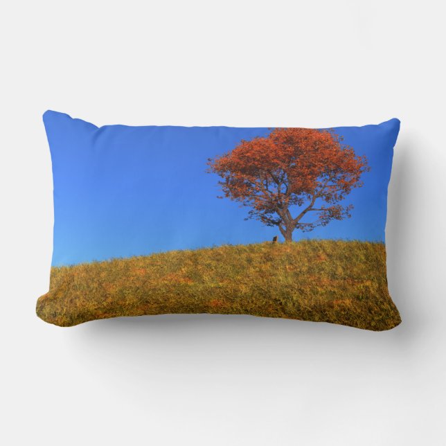 Clear Autumn Day Pillow (Front)