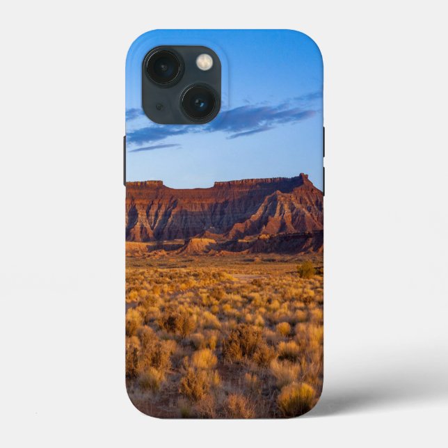 clear blue sky covers gorgeous brown hill (Back)