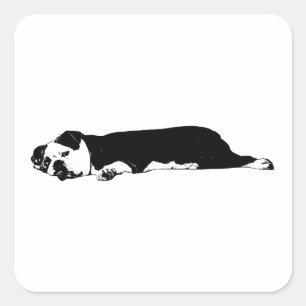Clear-Cut Bulldog Sticker