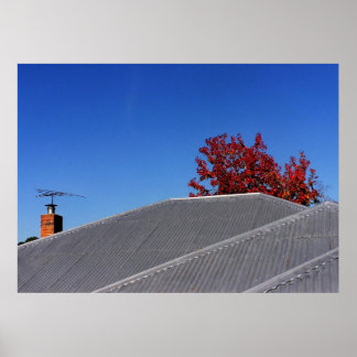 Clear Day Rooftop Print