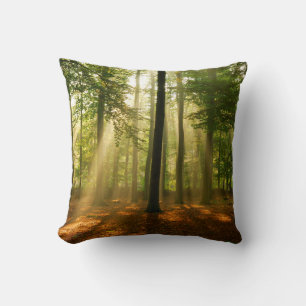 Clear rays of light shining through the forest in cushion