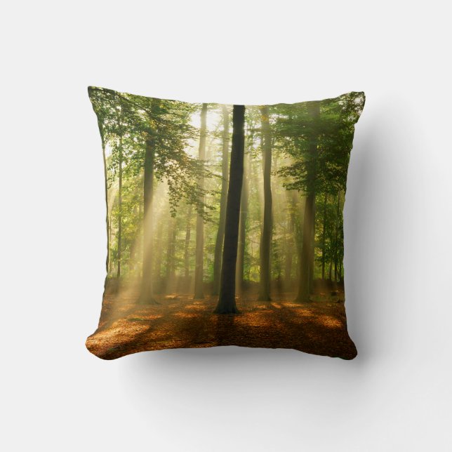 Clear rays of light shining through the forest in  cushion (Front)