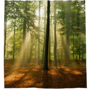 Clear rays of light shining through the forest in shower curtain