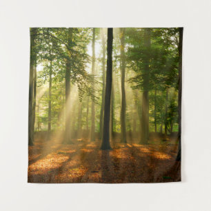 Clear rays of light shining through the forest in  tapestry