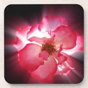 clear red petals coaster