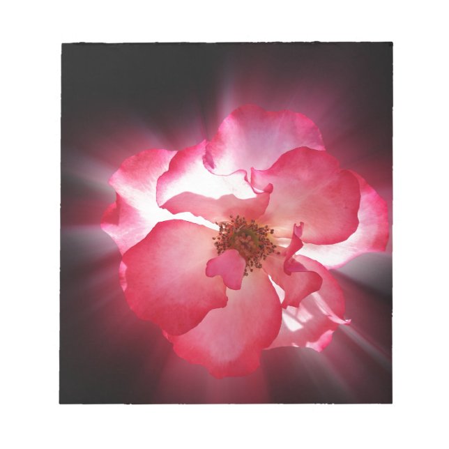 clear red petals notepad (Front)