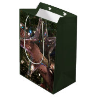 Clear Shining Star Ornament Photography