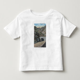 Clear Water Canyon, Colorado Toddler T-Shirt