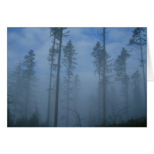 Clearing Fog