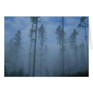 Clearing Fog