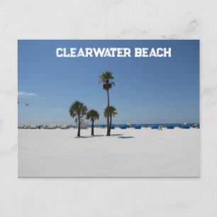 Clearwater Beach FL Postcard