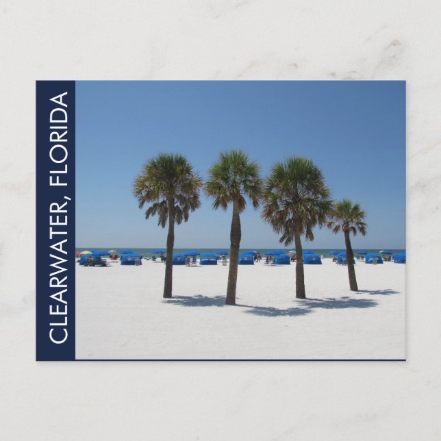 Clearwater Beach FL Postcard (Front)