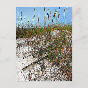 Clearwater Beach Florida art gifts Postcard