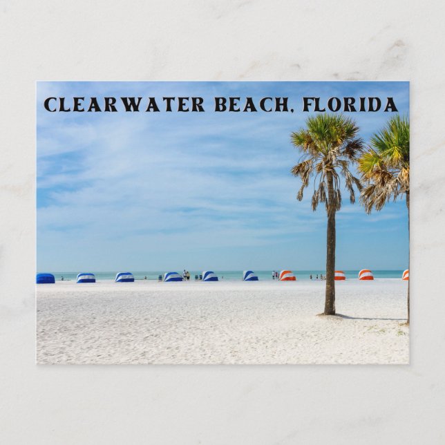 Clearwater Beach, Florida Postcard (Front)