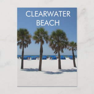 Clearwater Beach Florida Postcard